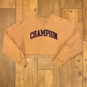 champion tan and dark berry logo cropped crew neck